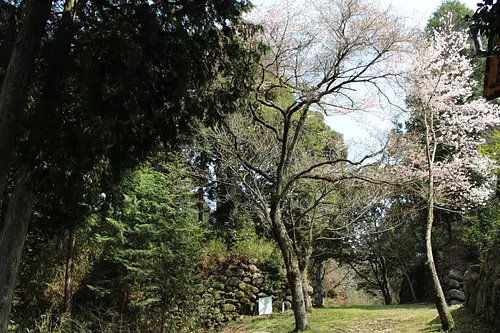 Ruines du château de Fukuchi