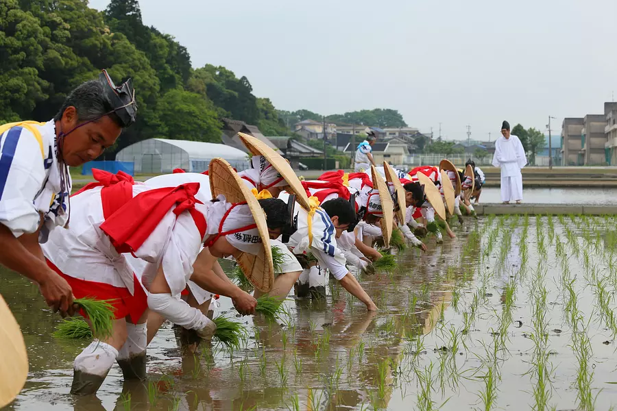 First rice planting ceremony in Kanda [IseJingu Jingu Kanda]