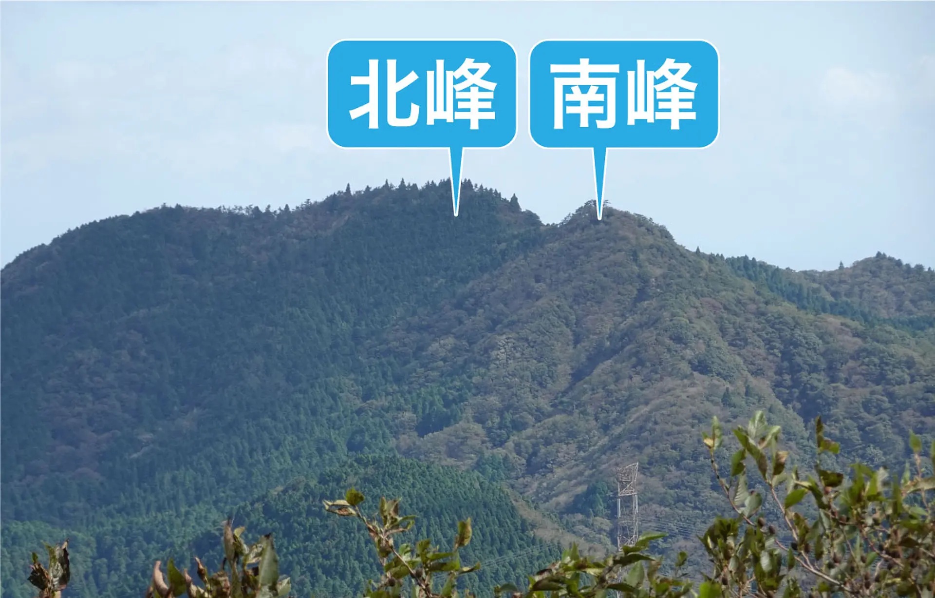 草と山 草戸山 （ くさどやま 356M 東京都町田市 ）