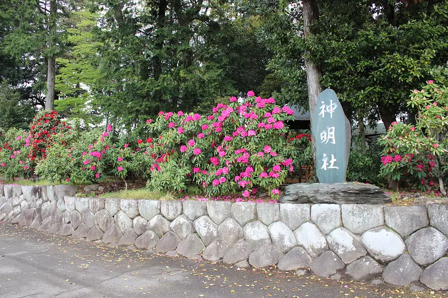 Rododendros en el santuario Fukamizo Shinmeisha