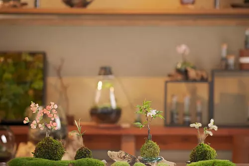 “Isejisaien” is a shop where you can enjoy hands-on experiences and gardening.