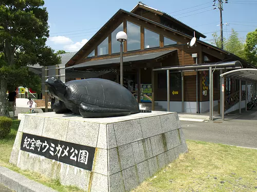 紀宝町ウミガメ公園