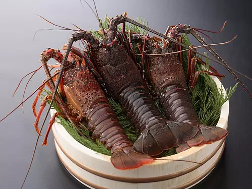 Spiny lobster