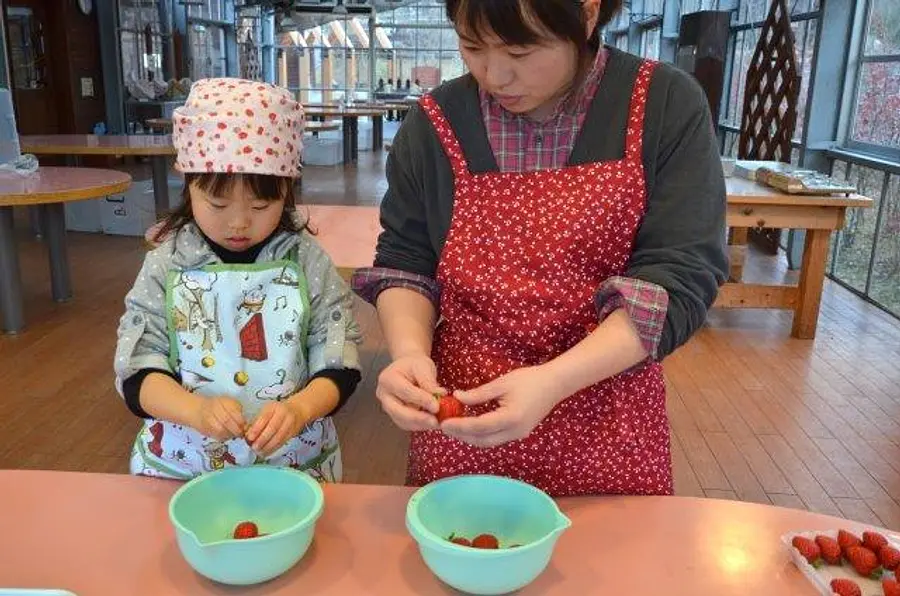 Cours d&#39;expérience de fabrication de Daifuku aux fraises