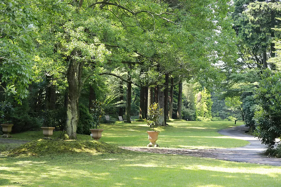Bosque de brezos de Red Hill (Jardín Botánico de Akatsuka)