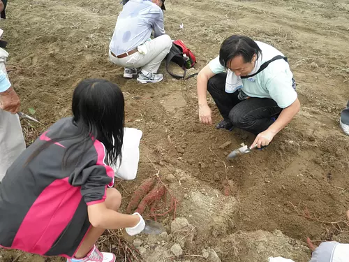 Granja Mizutani (jardín de excavación de patatas Tado Mizo)