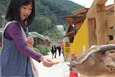 Zoo d&#39;Ouchiyama