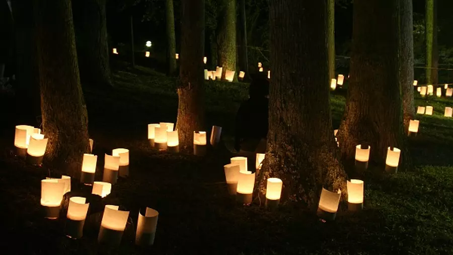 시마가하라 「대나무 등불의 연회」