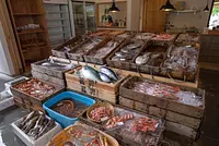 第十八甚昇丸（VISON）