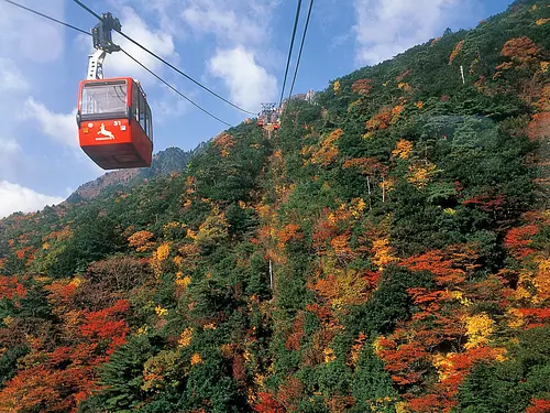 Teleférico y hojas de otoño.