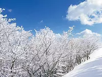Mt.Gozaisho in winter (juhyo)