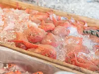 第十八甚昇丸（VISON）