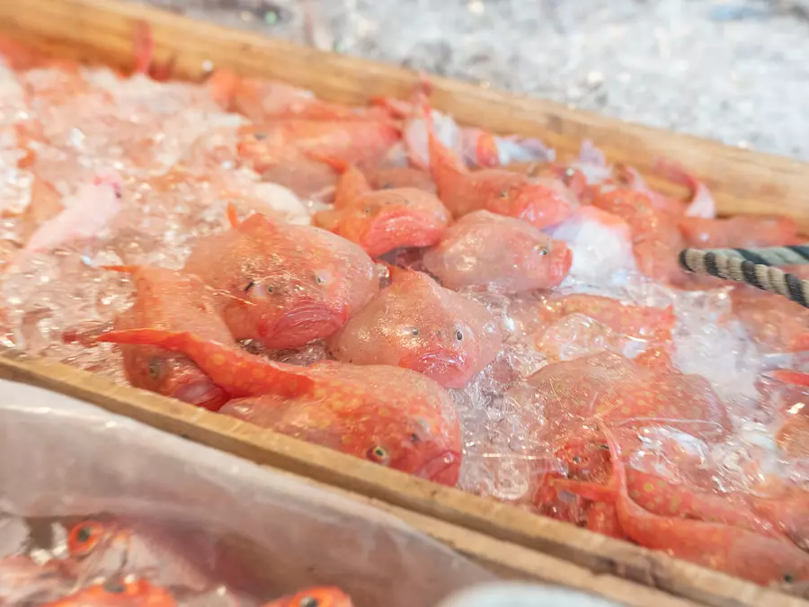 第十八甚昇丸（VISON）