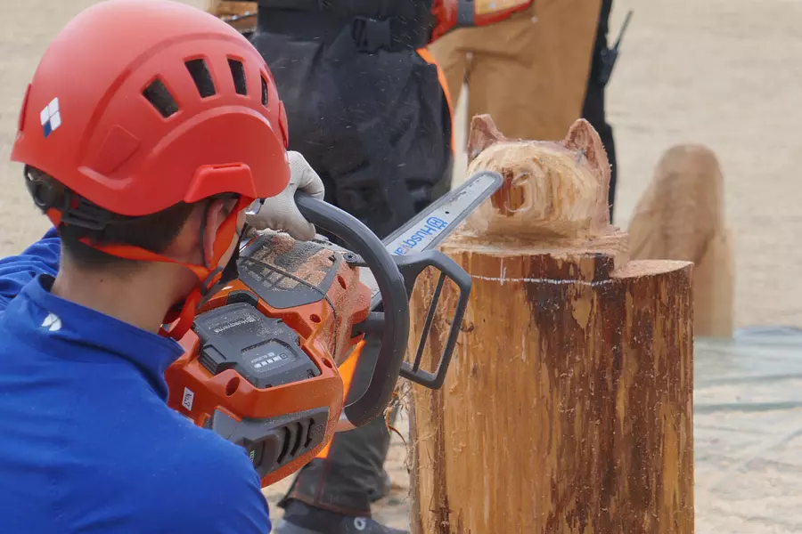 Beginners welcome! Chainsaw art experience