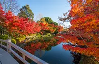 Nabananosato is a famous spot for autumn leaves and a spectacular view of the autumn colors! Kagamiike is very popular! (Around late November to mid-December)
