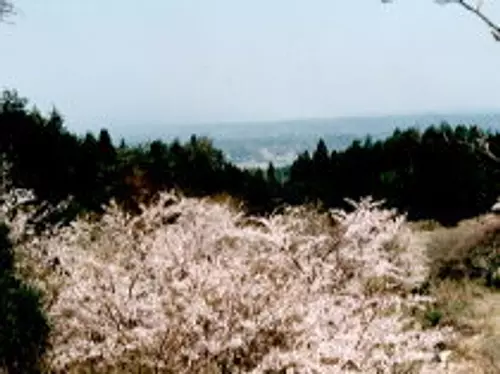 霊山寺