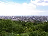 垂坂公園・羽津山緑地