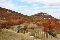 Feuilles d&#39;automne du mont Gozaisho