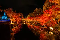 Nabana no Sato est un endroit célèbre pour les feuilles d'automne, avec une vue spectaculaire sur les feuilles d'automne ! Kagamiike est très populaire ! (Vers fin novembre à mi-décembre)