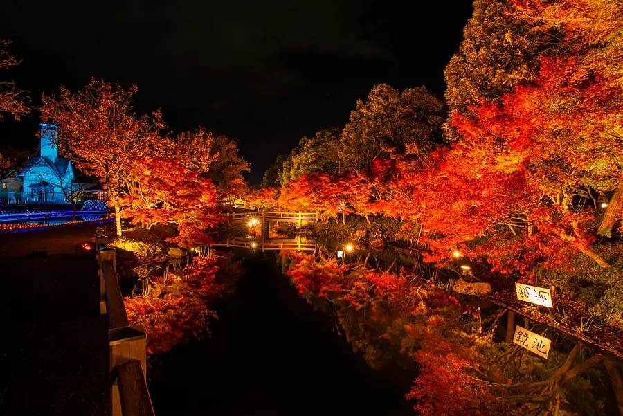 Nabana no Sato est un endroit célèbre pour les feuilles d'automne, avec une vue spectaculaire sur les feuilles d'automne ! Kagamiike est très populaire ! (Vers fin novembre à mi-décembre)