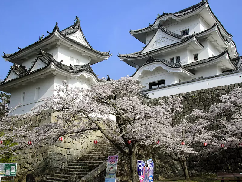 Iga Ueno Castle