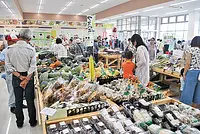 とれたて市ひぞっこ（ＪＡいがふるさと）