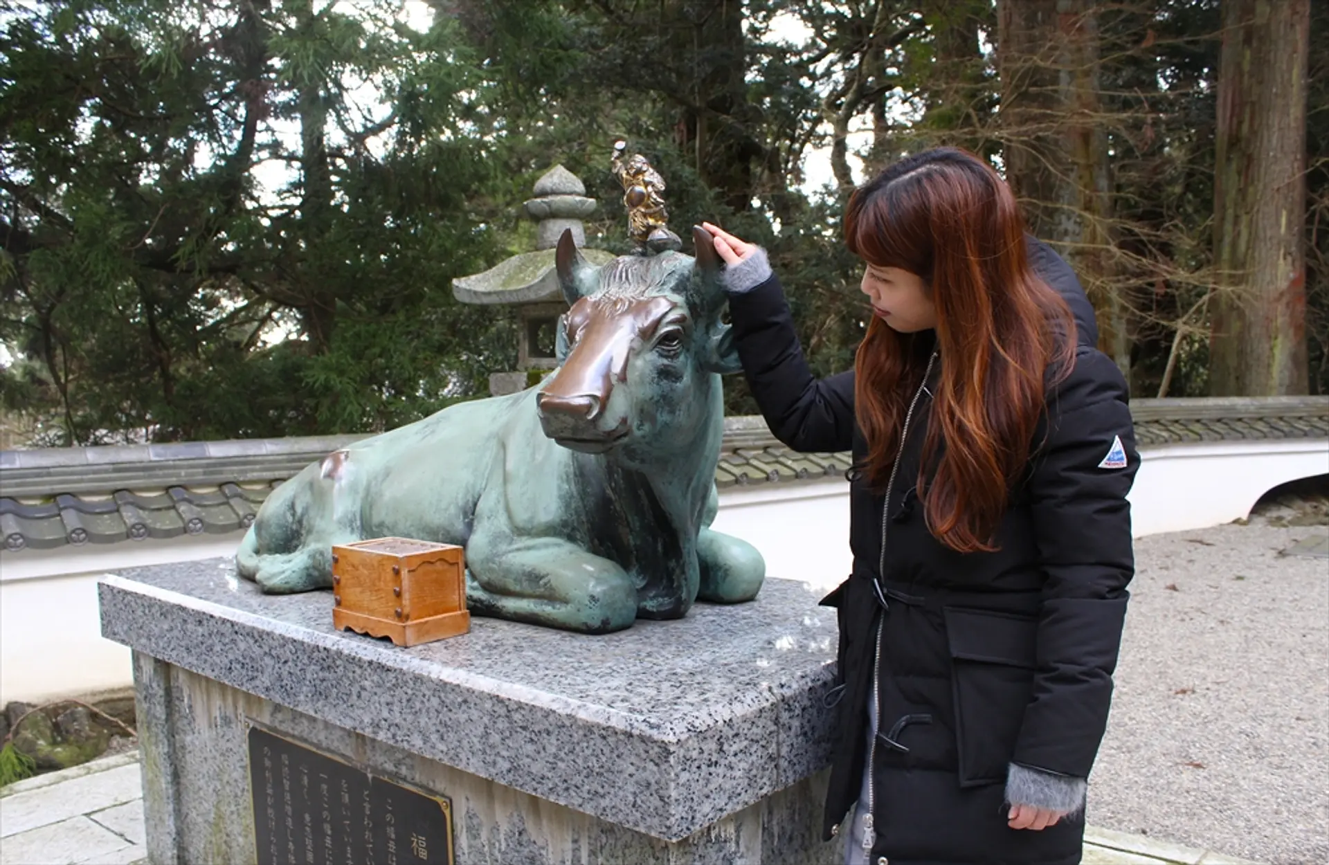 ぽぽ9.6 三重松阪市　伊勢志摩での手渡し希望です image-68.png