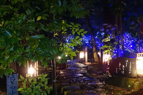 Illumination des lucioles du sanctuaire Iyama