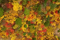 御在所岳の紅葉