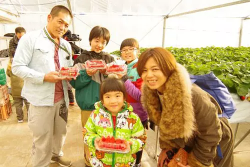在Mokumoku手工农场收获和美食教育体验：了解为什么它美味，更享受新鲜收获的蔬菜