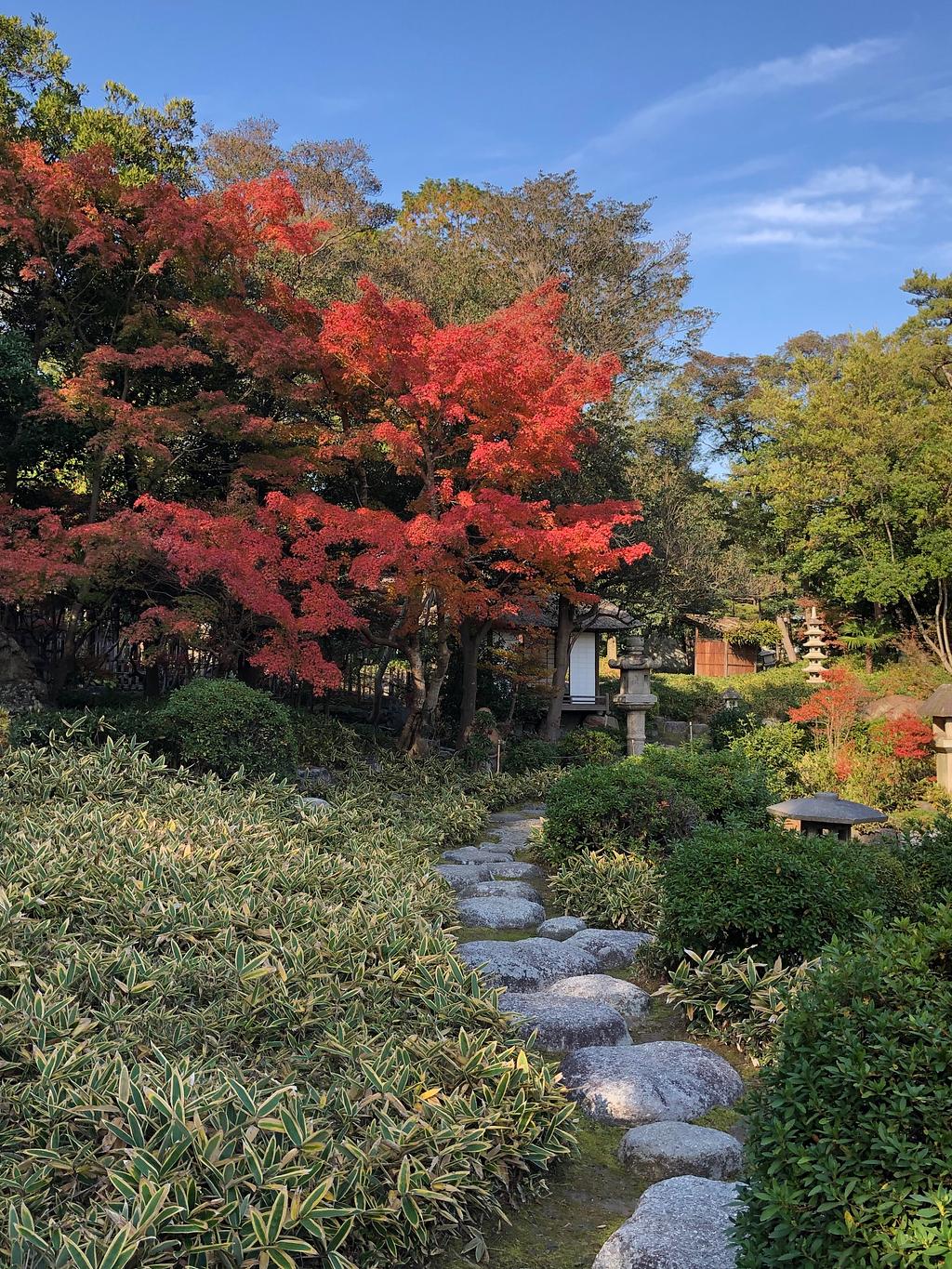 諸戸氏庭園 秋の一般公開