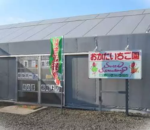 Cueillette de fraises la nuit Okada Strawberry Farm