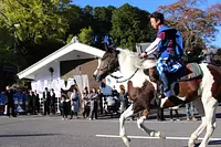 เทศกาลฤดูใบไม้ร่วงศาล ทานาโอะ（tanao）พิธีแข่งม้า