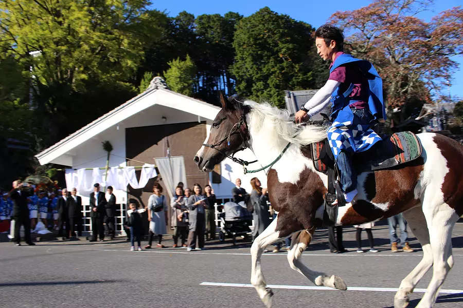 เทศกาลฤดูใบไม้ร่วงศาล ทานาโอะ（tanao）พิธีแข่งม้า