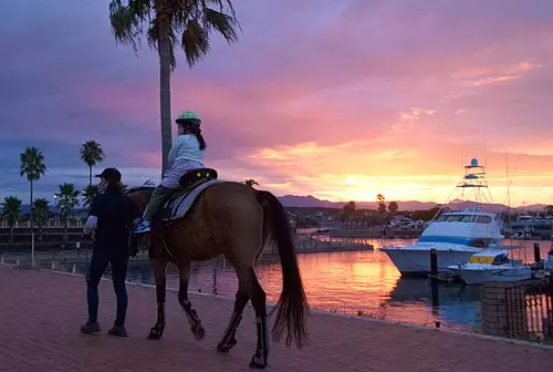 balade au coucher du soleil dans la marina