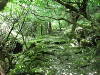 Pavimento de piedra de Otoyama