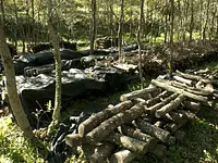 キノコランド_３