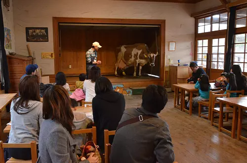 Après avoir découvert les vaches en classe...