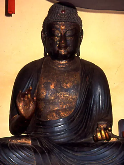 Wooden Medicine Buddha Seated Statue