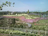 Kazahaya no Sato, un jardín de flores que combina bienestar y medio ambiente ~Kappa no Furusato~