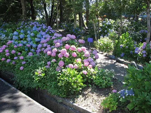 Parc Manyo no Sato