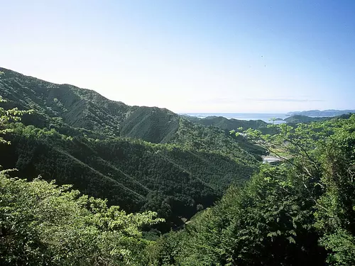 沖見平