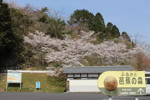 駐車場・トイレ