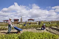 モクモクの貸農園「農学舎」