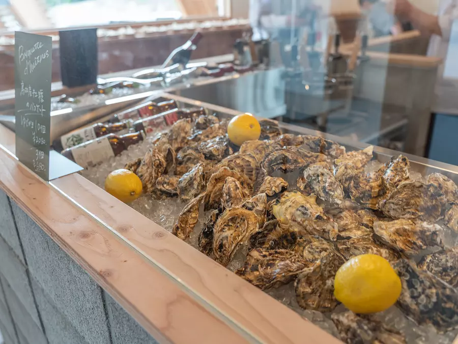 マーケテリア（VISON）