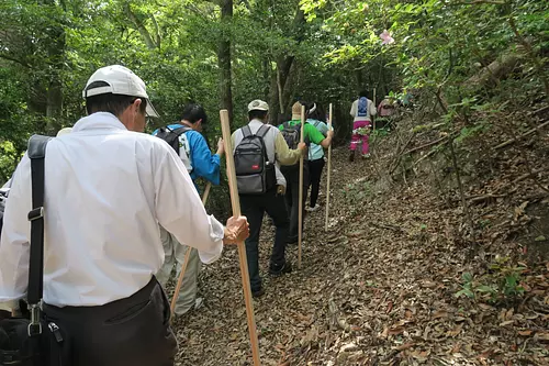 登山道