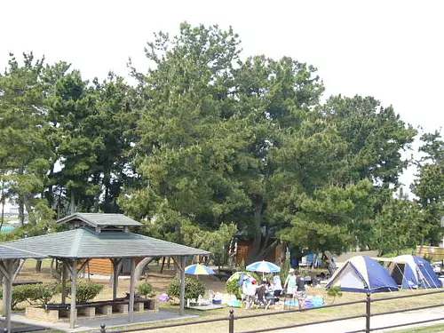 大淀ふれあいキャンプ場