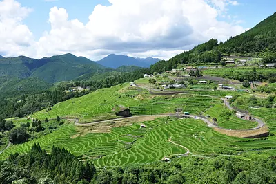 丸山千枚田