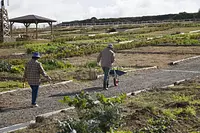 モクモクの貸農園「農学舎」