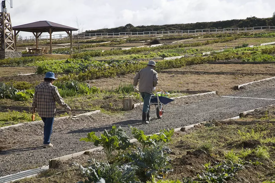 モクモクの貸農園「農学舎」